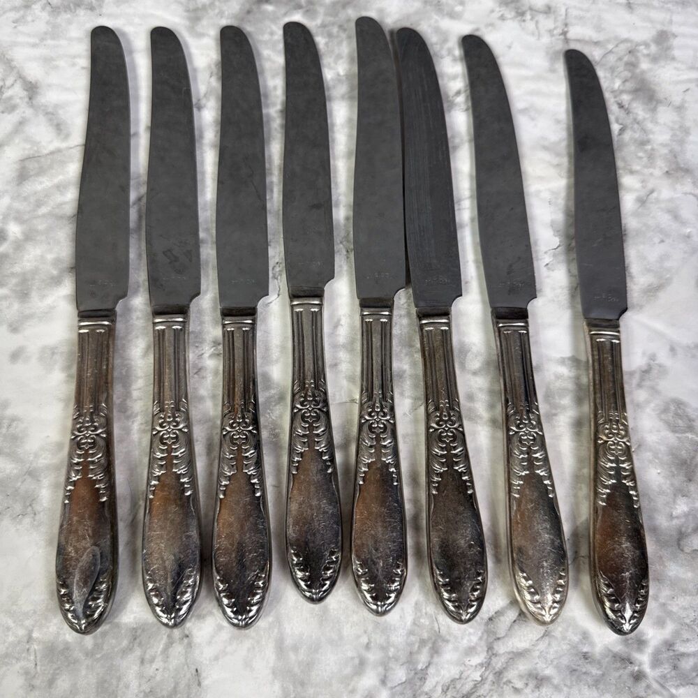 NSCO Stainless Steel Butter Knives Set Of 8